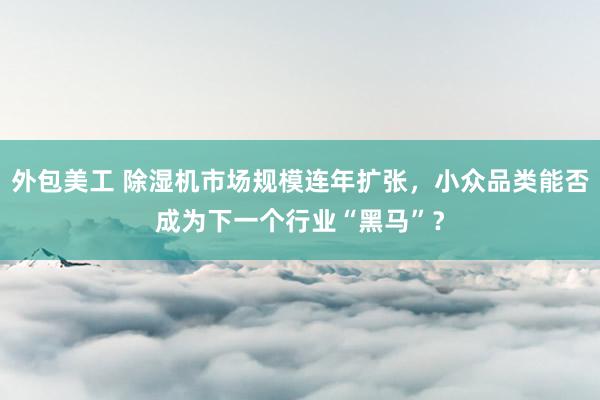 外包美工 除湿机市场规模连年扩张，小众品类能否成为下一个行业“黑马”？