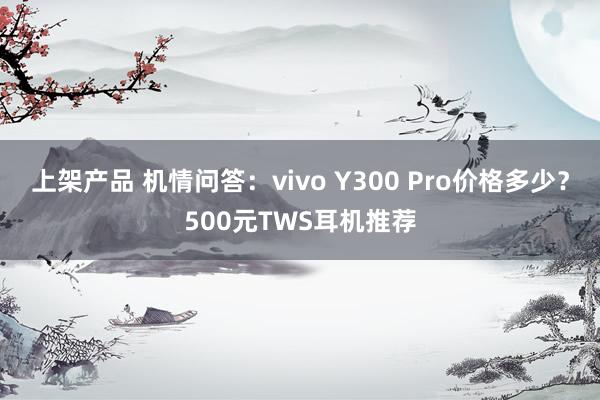 上架产品 机情问答：vivo Y300 Pro价格多少？500元TWS耳机推荐