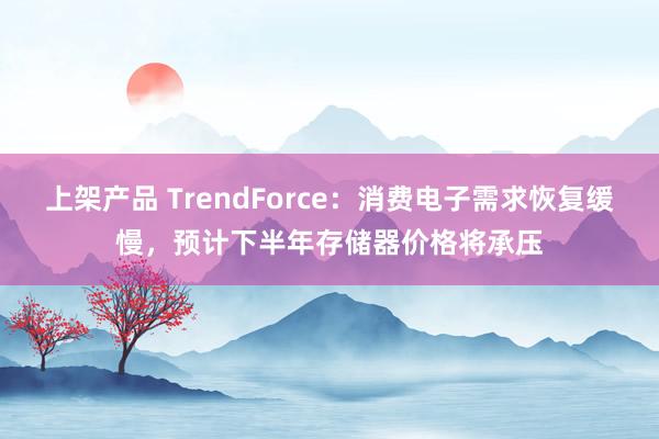 上架产品 TrendForce：消费电子需求恢复缓慢，预计下半年存储器价格将承压