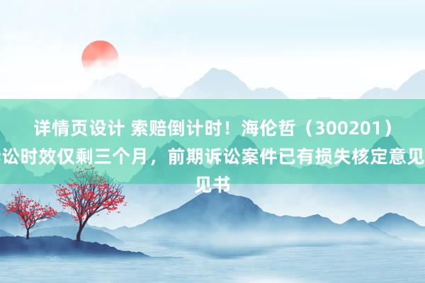 详情页设计 索赔倒计时！海伦哲（300201）诉讼时效仅剩三个月，前期诉讼案件已有损失核定意见书