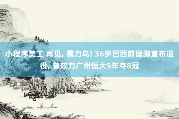 小程序美工 再见, 暴力鸟! 36岁巴西前国脚宣布退役, 曾效力广州恒大5年夺8冠